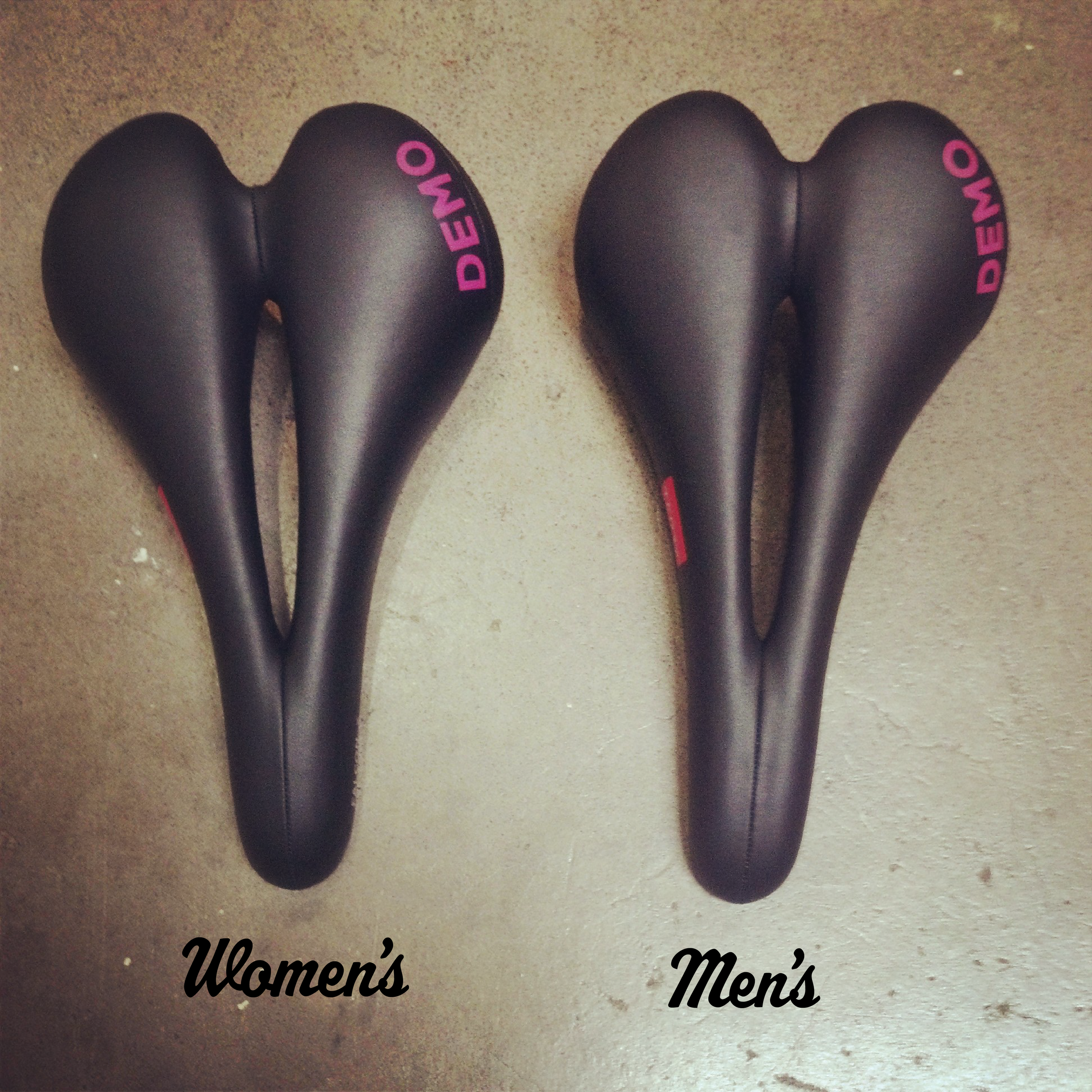 terry women v man.png